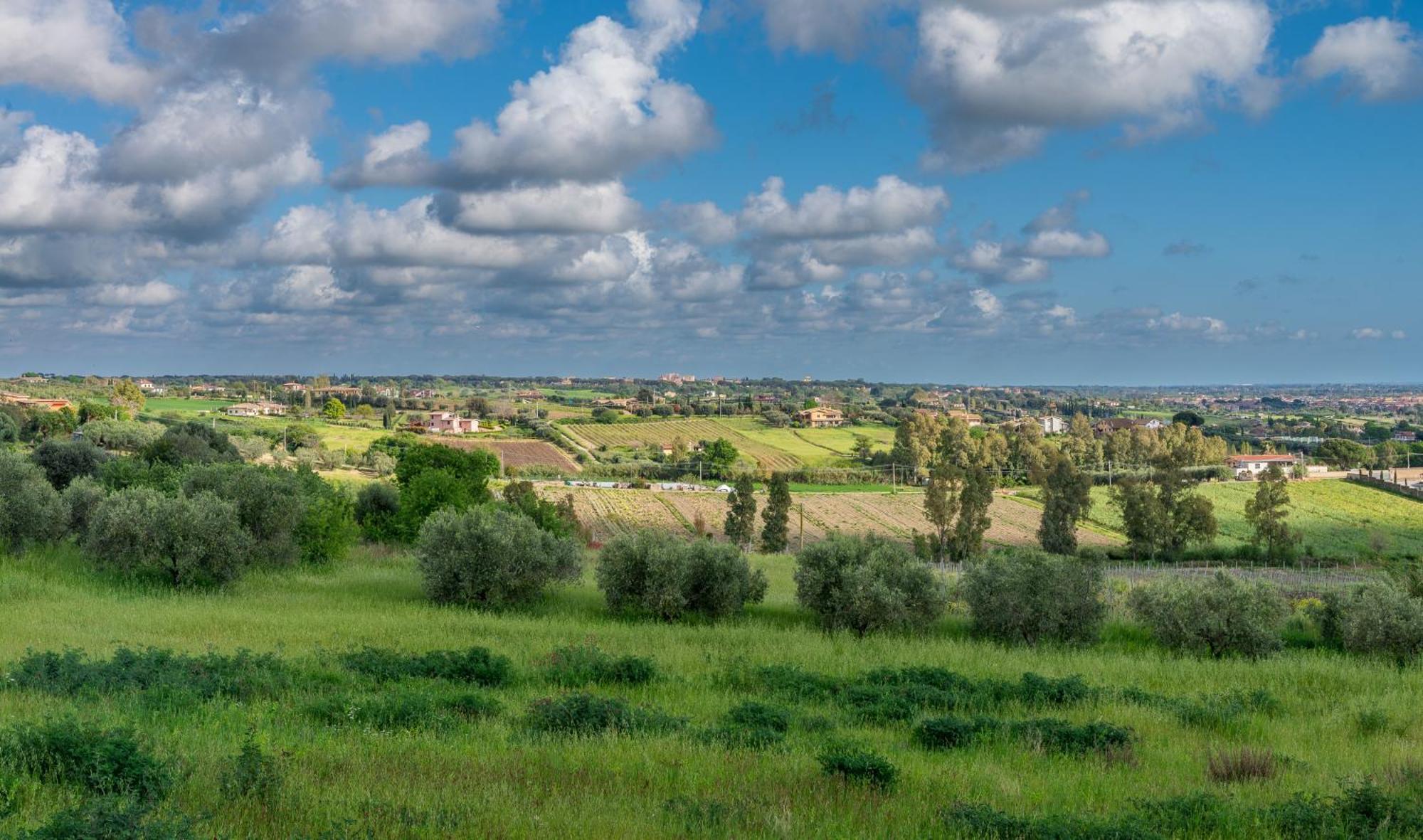 Villa Gli Eucalipti Cerveteri Exteriör bild