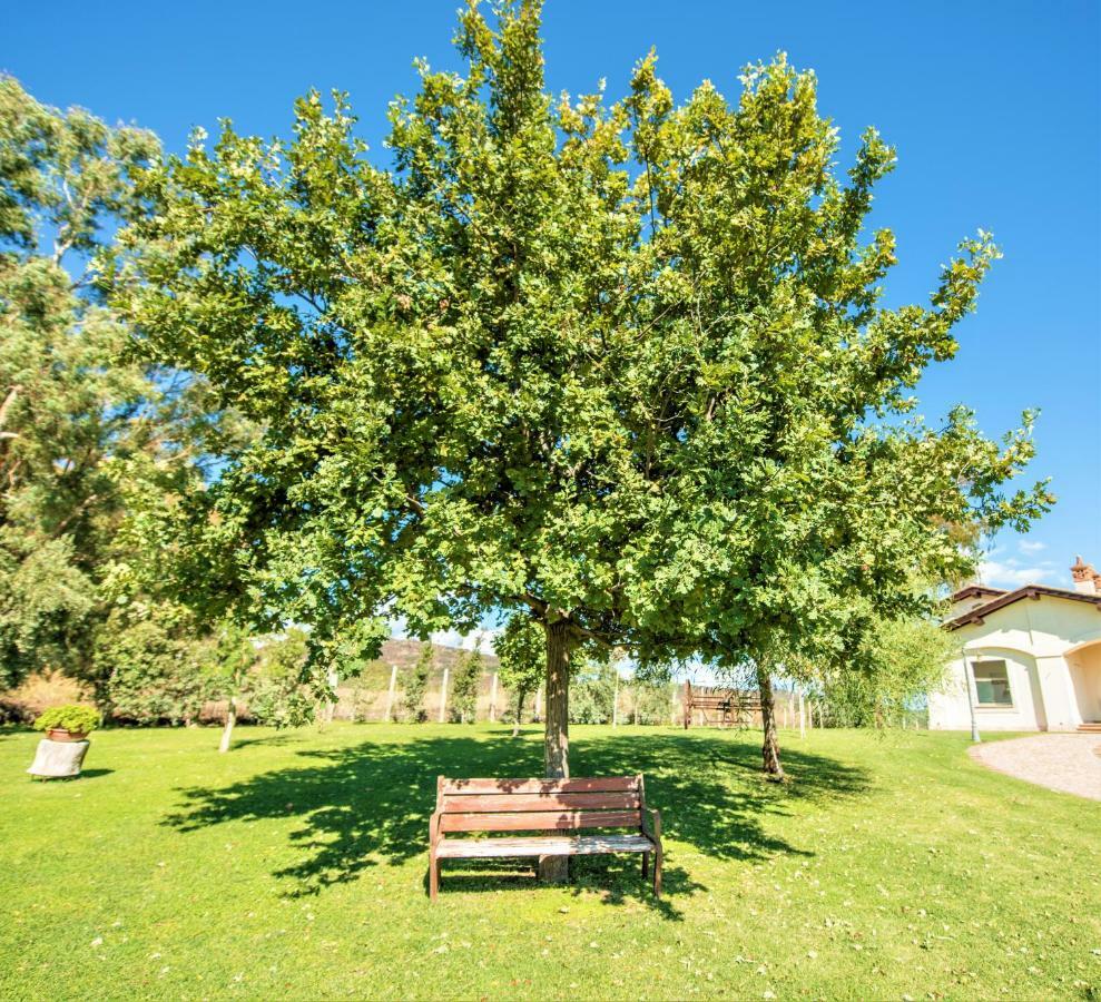 Villa Gli Eucalipti Cerveteri Exteriör bild